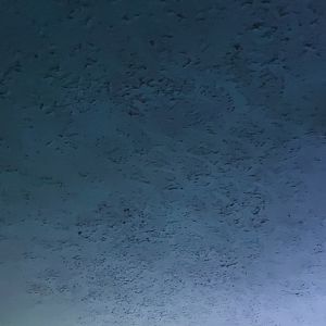 Meet your Posher, Ronnie